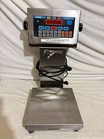 Full view of scale showing platform, column, control panel and power cord