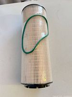 Full view of cartridge filter showing pleated media and green O-ring