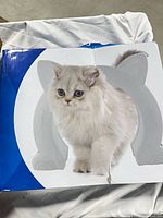 Front of box with image of cat and door outline