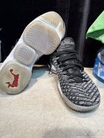 Outsole view showing translucent rubber, red lion logo, tread wear