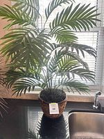 Full view of artificial palm plant in wicker pot on countertop