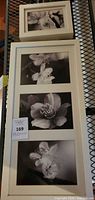 Tall vertical frame with three black-and-white floral photos plus smaller square frame above