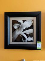 Front view of framed calla lily print