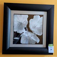 Front view of framed floral print