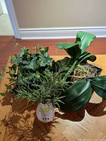 All three artificial plants on table
