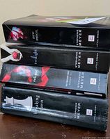 Stack showing spines of all four Twilight Saga novels