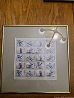 Frontal view of framed uncut Birds of Canada stamp sheet