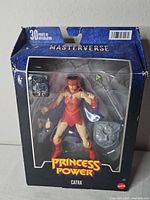 Front view of boxed Catra Masterverse figure and accessories
