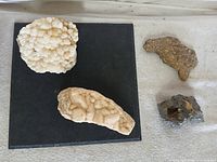 Group shot of all four rock specimens