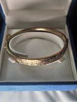 Bracelet in presentation box showing overall form and hinge