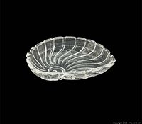 Top view of clear glass nautilus shell bowl highlighting interior spiral design