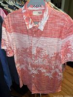 Front view of 1901 palm tree print shirt on hanger