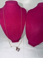 Full view of necklace on display bust showing 25-inch chain and pendant