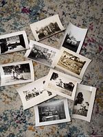 All photographs spread on carpet showing variety and condition