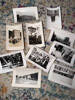 Overview of ten vintage black-and-white photographs spread on rug