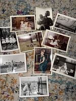 All eleven photographs spread on carpet, showing variety and condition