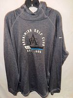 Front view showing full hoodie, graphic, hood, overall condition