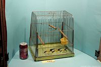Front view of metal wire bird cage with Dr Pepper can for scale