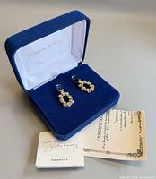 Earrings in presentation box with COA visible