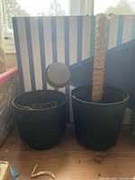 Two black plastic flower pots side by side; right pot contains coir pole and soil; left pot contains soil