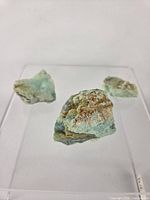 Three green chrysoprase pieces on clear stand