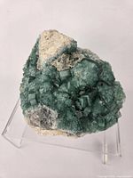 Front view showing green cubic fluorite crystals covering matrix