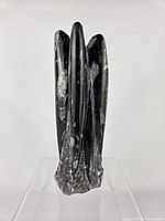 Front view of entire polished Orthoceras fossil standing upright