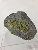 Front view showing main concentration of olive green peridot crystals within gray matrix