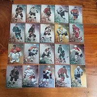 Front view showing all 20 autographed cards in protective sleeves