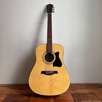 Full front view of guitar standing upright showing overall condition and design