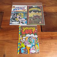 All three comics in sleeves: Subvert, Armadillo, Young Lust