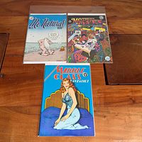 Overview of three bagged comic books