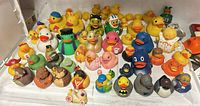 Front view of entire rubber duck collection on shelf