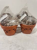 Overall lot view showing two pots and two bags of medium