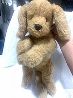 Full-body view of tan plush Muttsy puppy standing upright