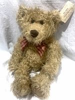 Full view of the plush teddy bear seated