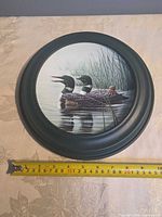 Front view showing full framed plate with measuring tape