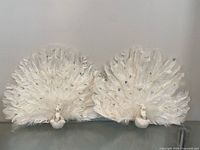 Both white feather peacocks side by side