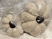 Two flower-shaped beige pillows in plastic, small and large sizes visible