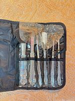 Five brushes in black zippered pouch, each with plastic guard