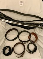 All belts laid out and coiled showing quantity and variety
