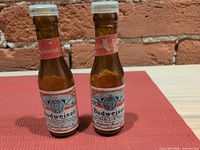 Front view showing Budweiser labels and caps on both shakers