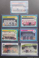 Front view of seven sleeved NHL team photo cards
