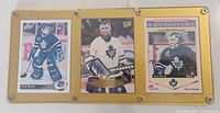 Front view showing three Felix Potvin rookie cards in gold screw-down display