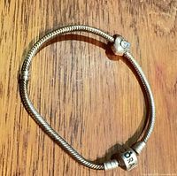 Entire bracelet laid flat showing clasp and charm