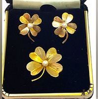Front view of brooch and earrings in presentation box