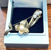 Brooch in presentation box showing floral design and pearls