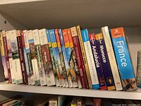 Shelf view showing mix of AAA, Frommer’s, Lonely Planet and Rough Guides titles