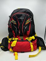 Front view showing brand logo, color pattern, straps and front compartments