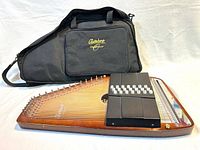 Front view of autoharp showing chord bars, strings, and carrying case